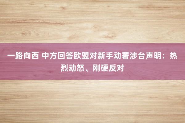 一路向西 中方回答欧盟对新手动署涉台声明：热烈动怒、刚硬反对