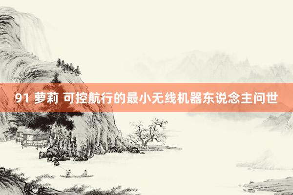91 萝莉 可控航行的最小无线机器东说念主问世