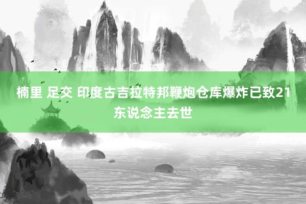 楠里 足交 印度古吉拉特邦鞭炮仓库爆炸已致21东说念主去世