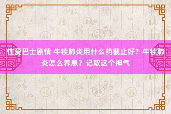 性爱巴士剧情 牛犊肺炎用什么药截止好？牛犊肺炎怎么养息？记取这个神气