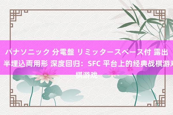 パナソニック 分電盤 リミッタースペース付 露出・半埋込両用形 深度回归：SFC 平台上的经典战棋游戏