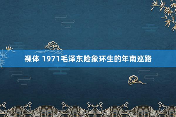 裸体 1971毛泽东险象环生的年南巡路