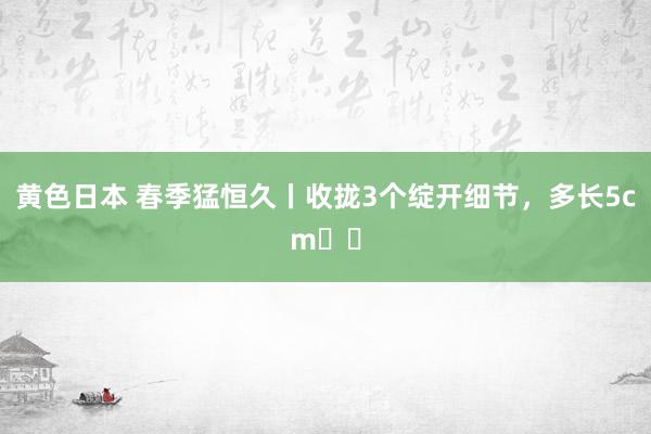 黄色日本 春季猛恒久丨收拢3个绽开细节，多长5cm❗️