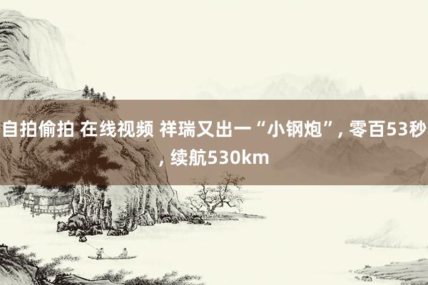 自拍偷拍 在线视频 祥瑞又出一“小钢炮”， 零百53秒， 续航530km