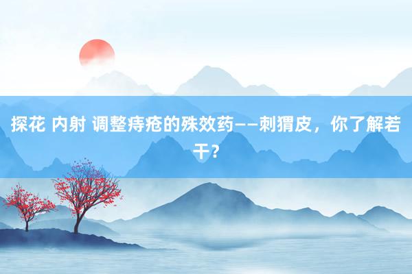 探花 内射 调整痔疮的殊效药——刺猬皮，你了解若干？