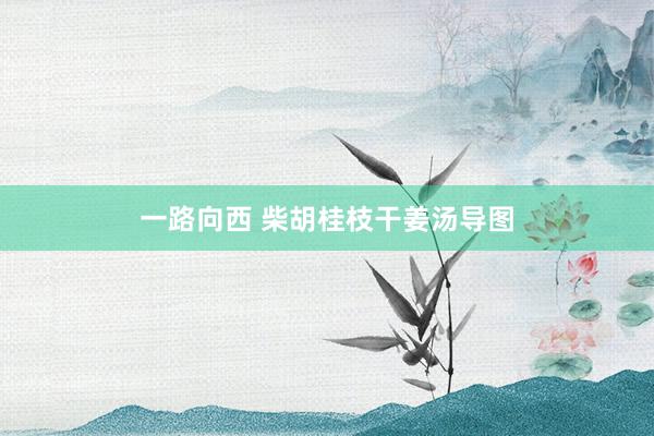 一路向西 柴胡桂枝干姜汤导图