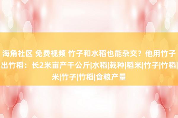 海角社区 免费视频 竹子和水稻也能杂交？他用竹子水稻杂交出竹稻：长2米亩产千公斤|水稻|栽种|稻米|竹子|竹稻|食粮产量
